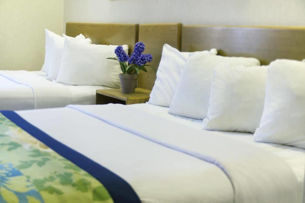 Hampton Inn & Suites-Asheville Biltmore Village, Nc Esterno foto